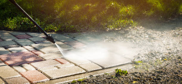 Best Animal Enclosure Cleaning  in Tuskegee, AL
